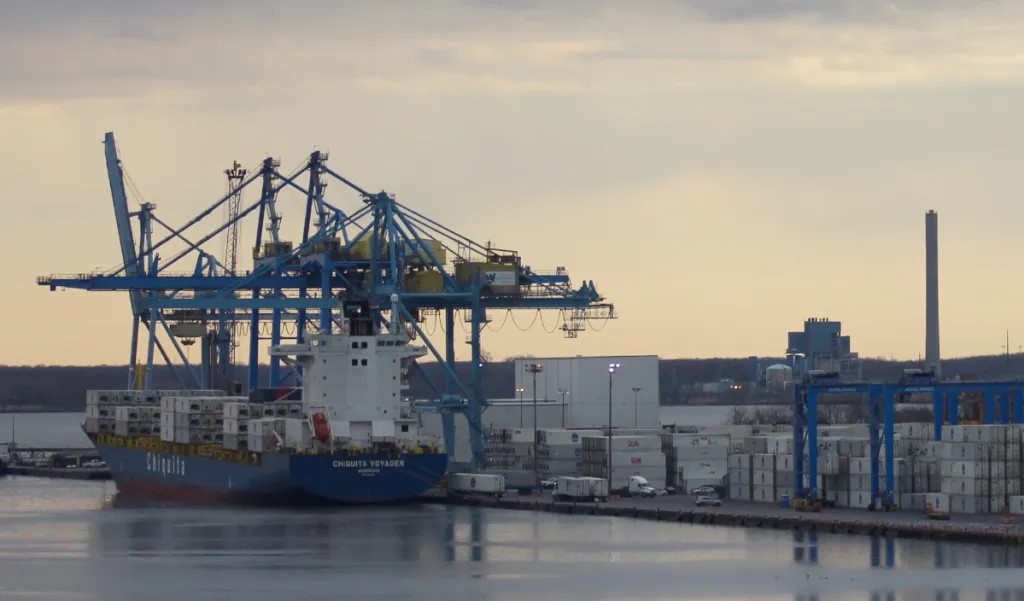 A looming strike could imperil tons of perishable cargo like bananas at the Port of Wilmington, but exemptions could still be carved out. SPOTLIGHT DELAWARE PHOTO BY JACOB OWENS