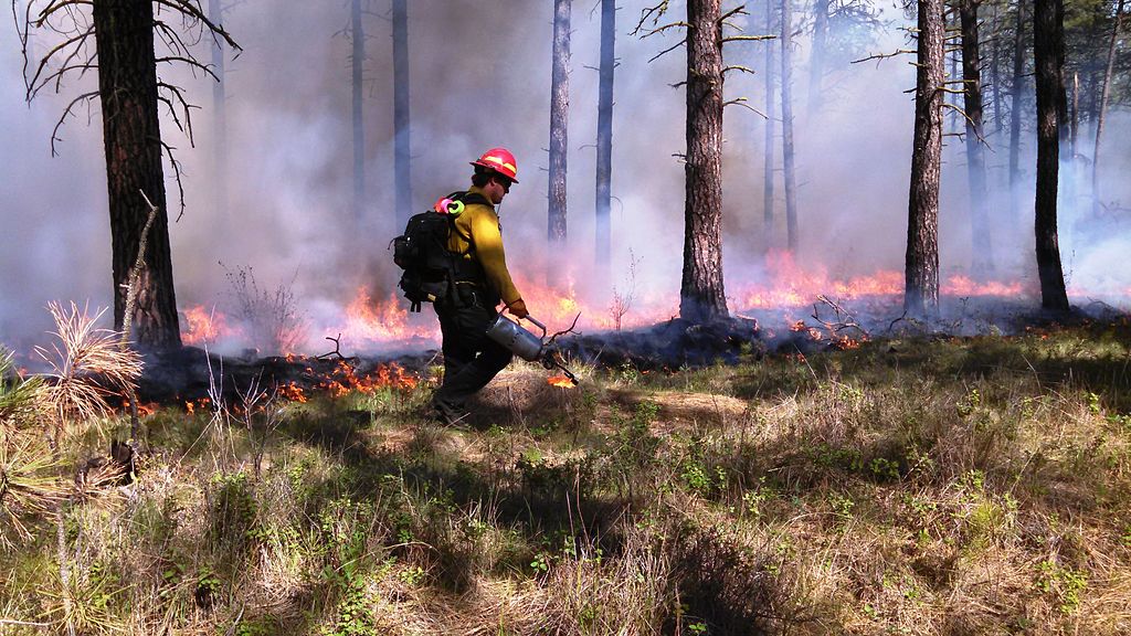 Federal wildland firefighters earn as little as $15 per hour, with entry level positions earning just less than $27,000 per year, according to Grassroots Wildland Firefighters, an advocacy group. (Photo by U.S. Forest Service)
