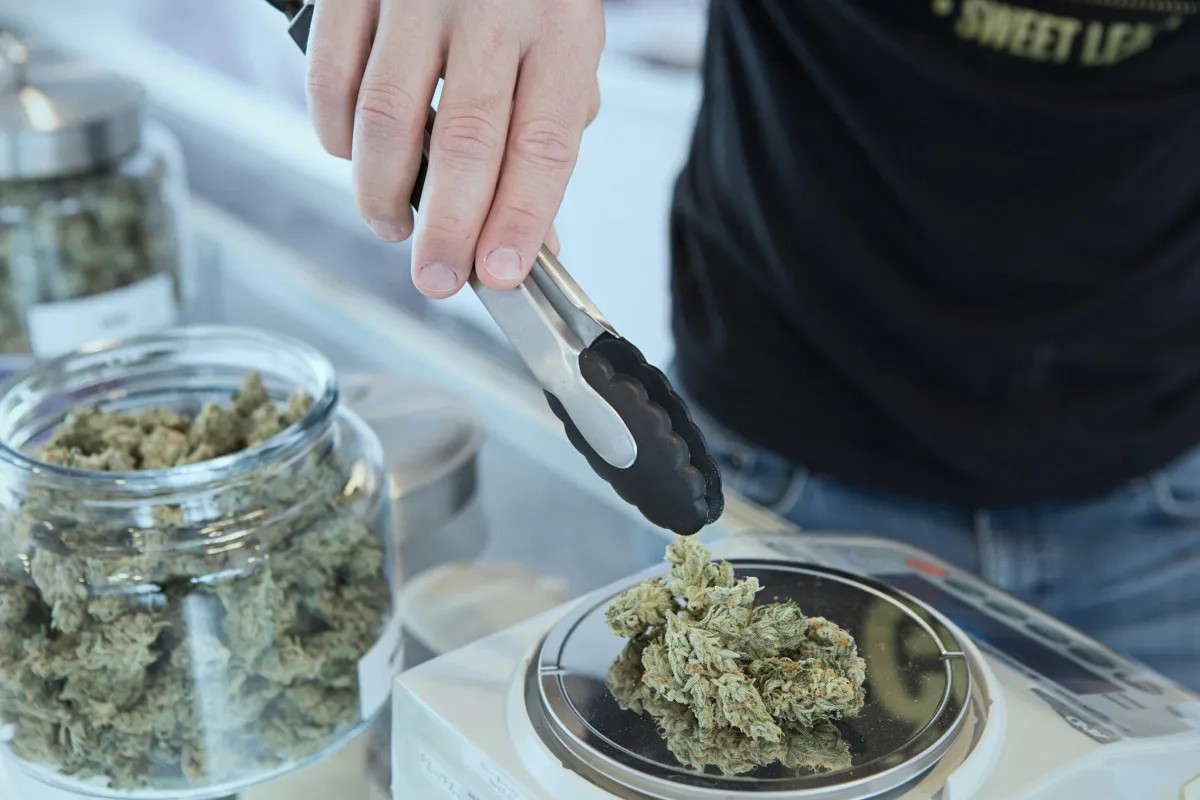 The legislature approved overruling counties over zoning restrictions on Delaware's burgeoning marijuana industry, but it's unclear if Gov. Matt Meyer will sign the bill. | PHOTO COURTESY OF BUDDING . on UNSPLASH