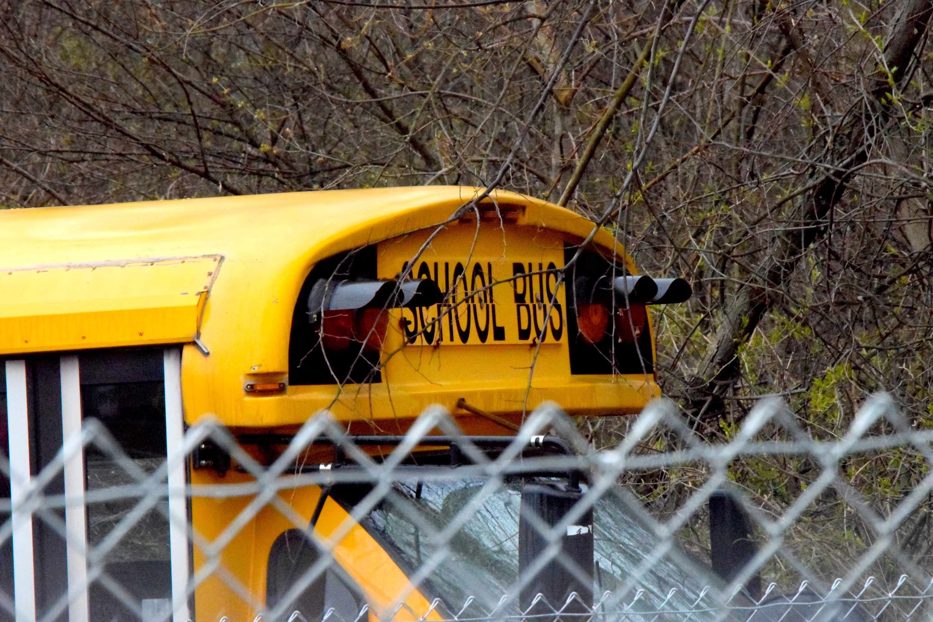 School bus School bus top