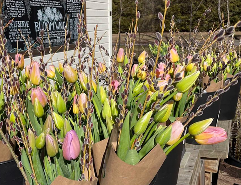 Tariffs sour Valentine’s for North Carolina’s small business entrepreneurs