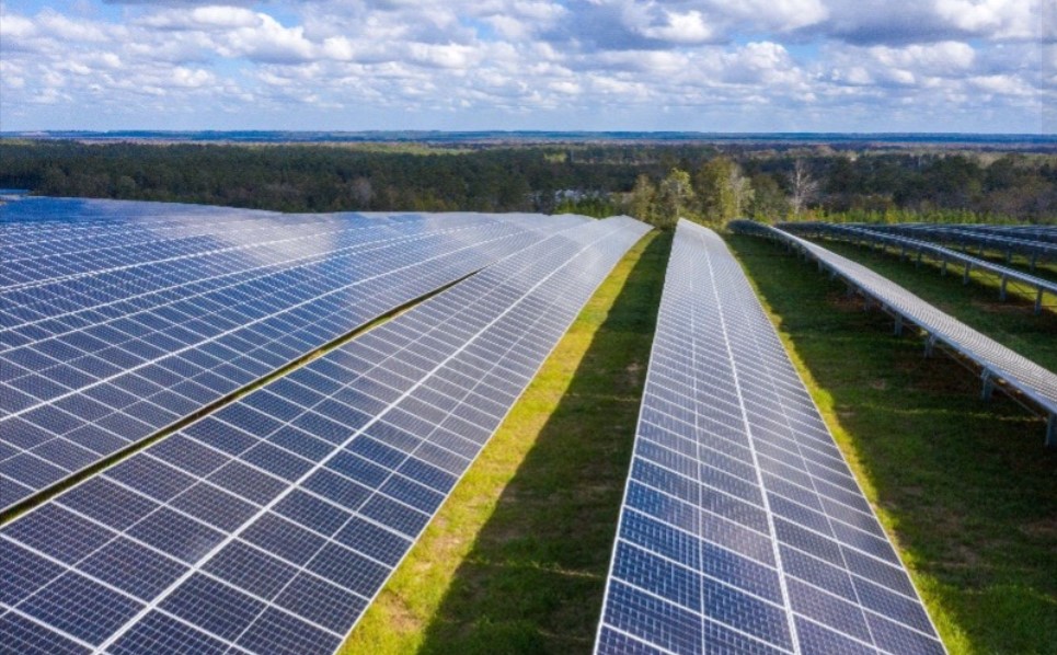 Florida has installed the second most solar power capacity in the country in 2024 Florida has installed the second most solar power capacity in the country in 2024