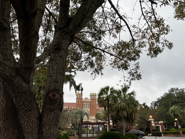 Assaults on higher education signal authoritarian intent Assaults on higher education signal authoritarian intent