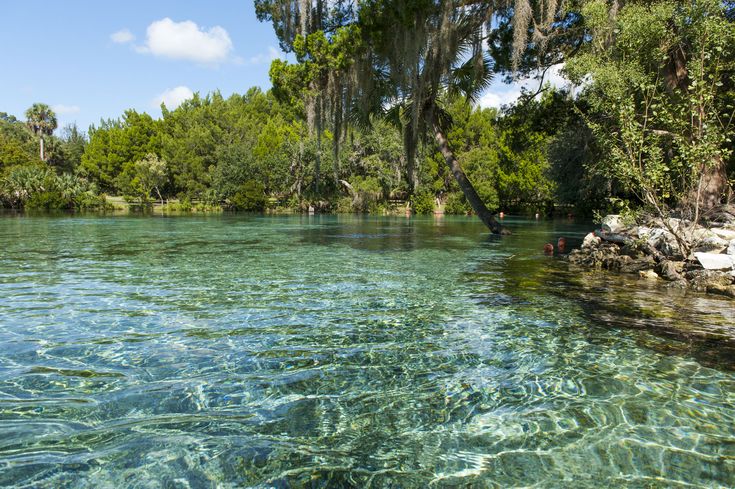 Private company controls access to public land at Florida national park Private company controls access to public land at Florida national park