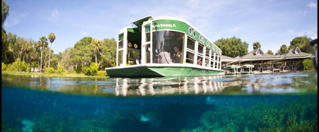 DEP once again fails Florida springs, won’t push polluters DEP once again fails Florida springs, won’t push polluters