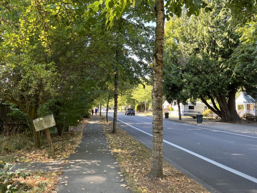Urban tree funding axed in WA House budget proposal