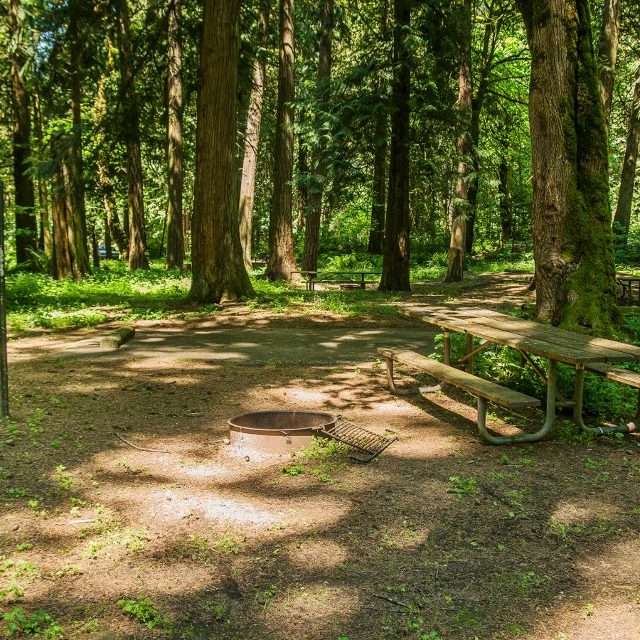 WA State Parks says budget cuts won’t undermine visitor access or services this summer WA State Parks says budget cuts won’t undermine visitor access or services this summer