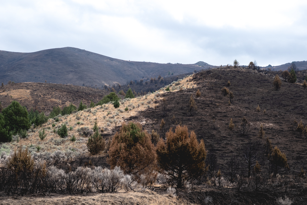 Narrowed plan for public land sales is dropped from GOP mega-bill Narrowed plan for public land sales is dropped from GOP mega-bill