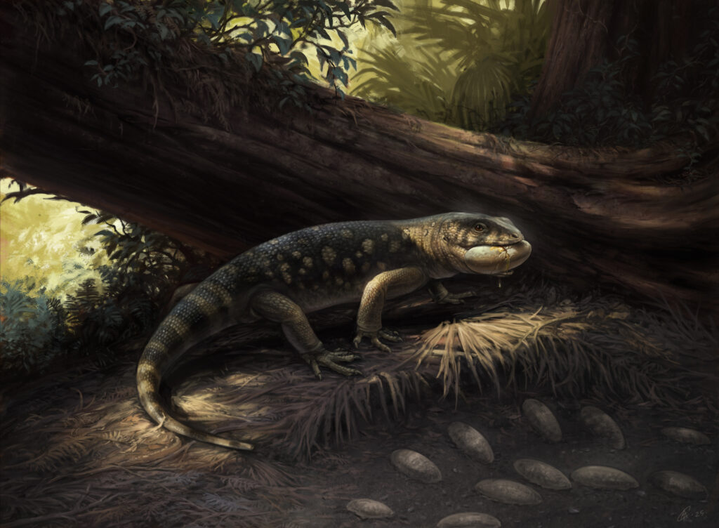 ‘Goblin prince’: New monstersaur discovered in Utah reveals hidden secrets of Gila monster relatives ‘Goblin prince’: New monstersaur discovered in Utah reveals hidden secrets of Gila monster relatives