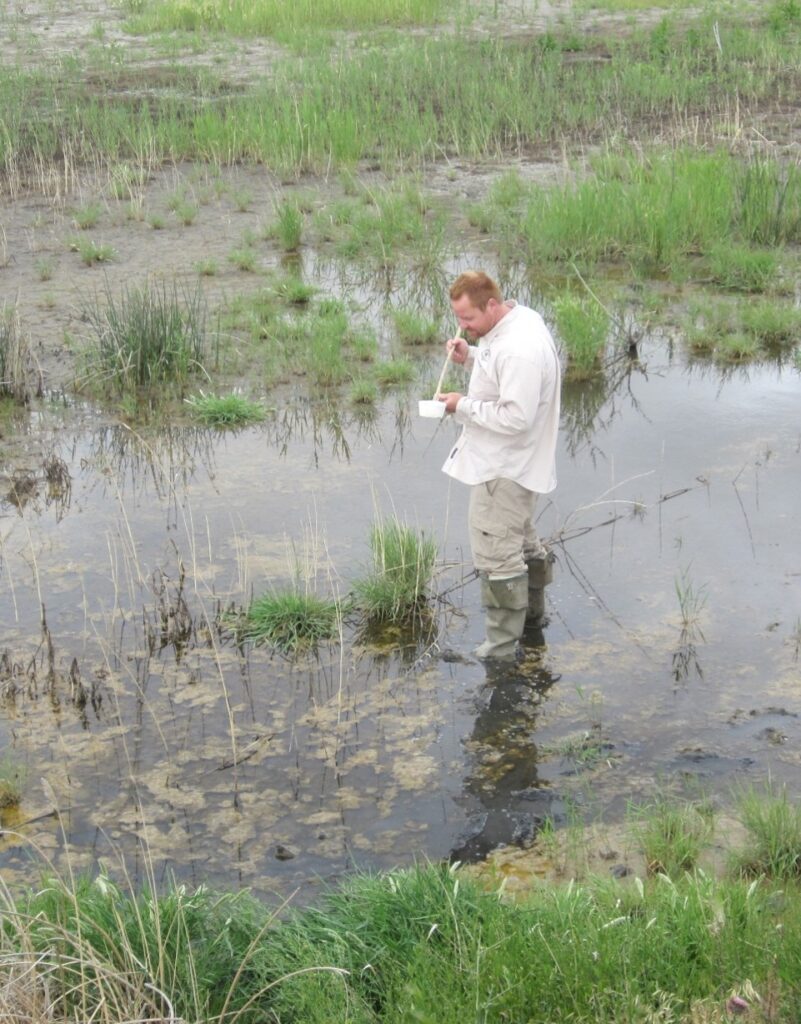 Utah County mosquito pool tests positive for West Nile virus Utah County mosquito pool tests positive for West Nile virus