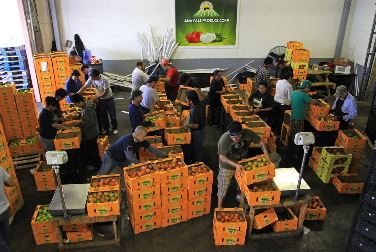 Texas lawmakers urge Trump to extend tomato trade agreement with Mexico Texas lawmakers urge Trump to extend tomato trade agreement with Mexico