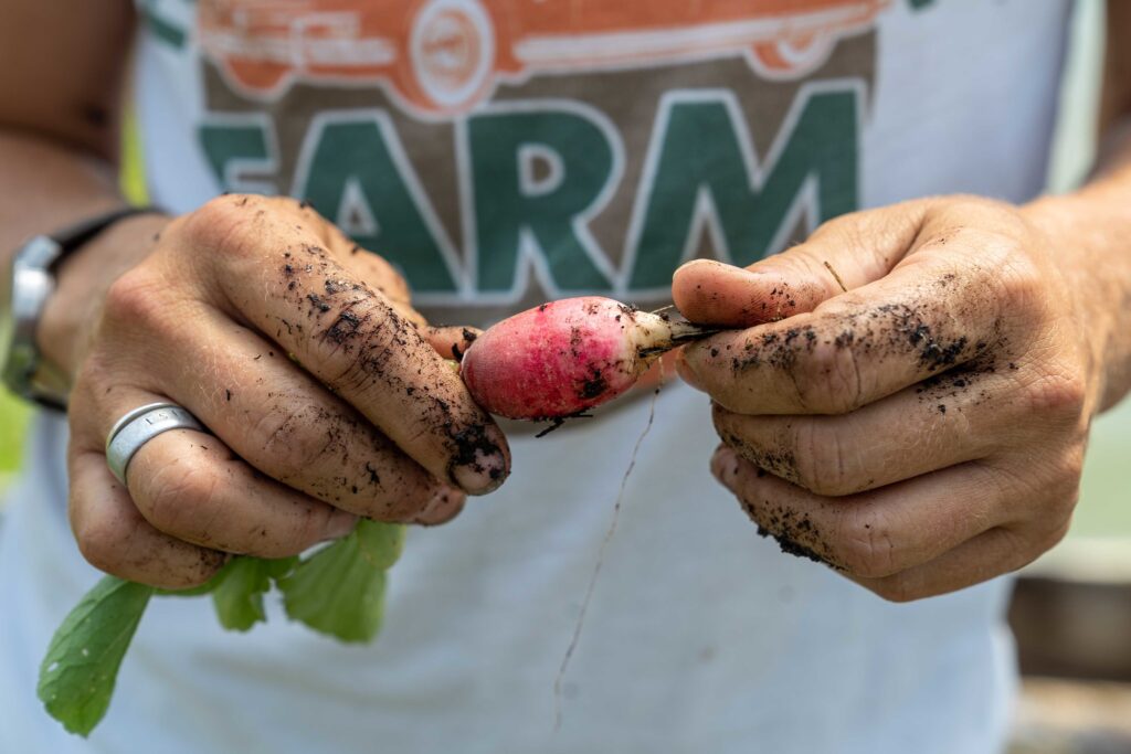 Soil-health group launches website connecting local food producers, consumers Soil-health group launches website connecting local food producers, consumers