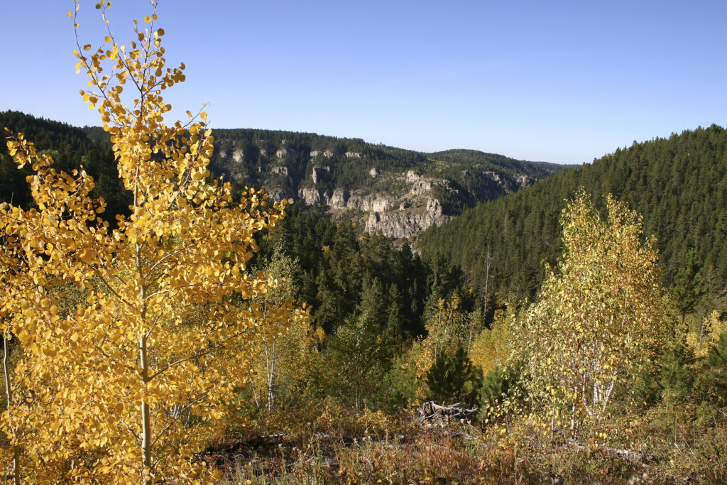 Gold exploration plan near Spearfish Canyon draws almost 2,000 comments