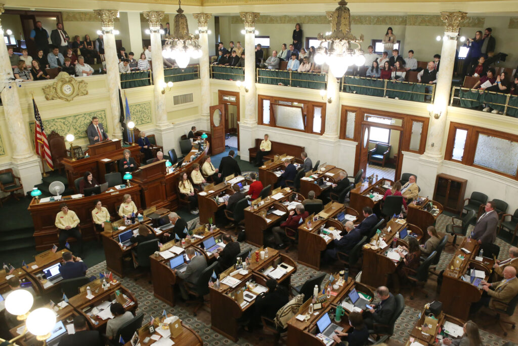 Self-serving bills abound in a legislative election year