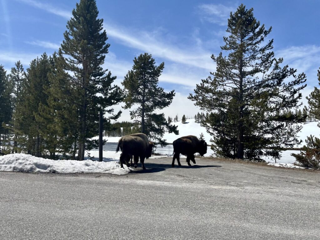 How a looming government shutdown could hit national parks How a looming government shutdown could hit national parks