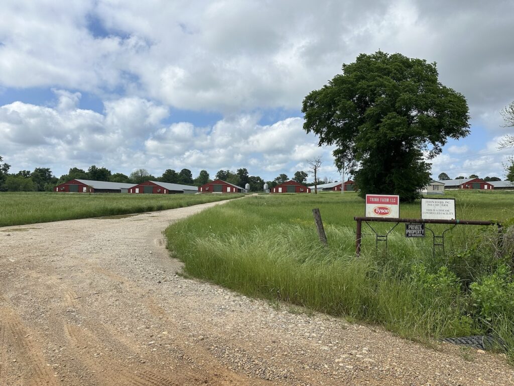 Arkansas to pay $735,000 for unpaved road improvements Arkansas to pay $735,000 for unpaved road improvements
