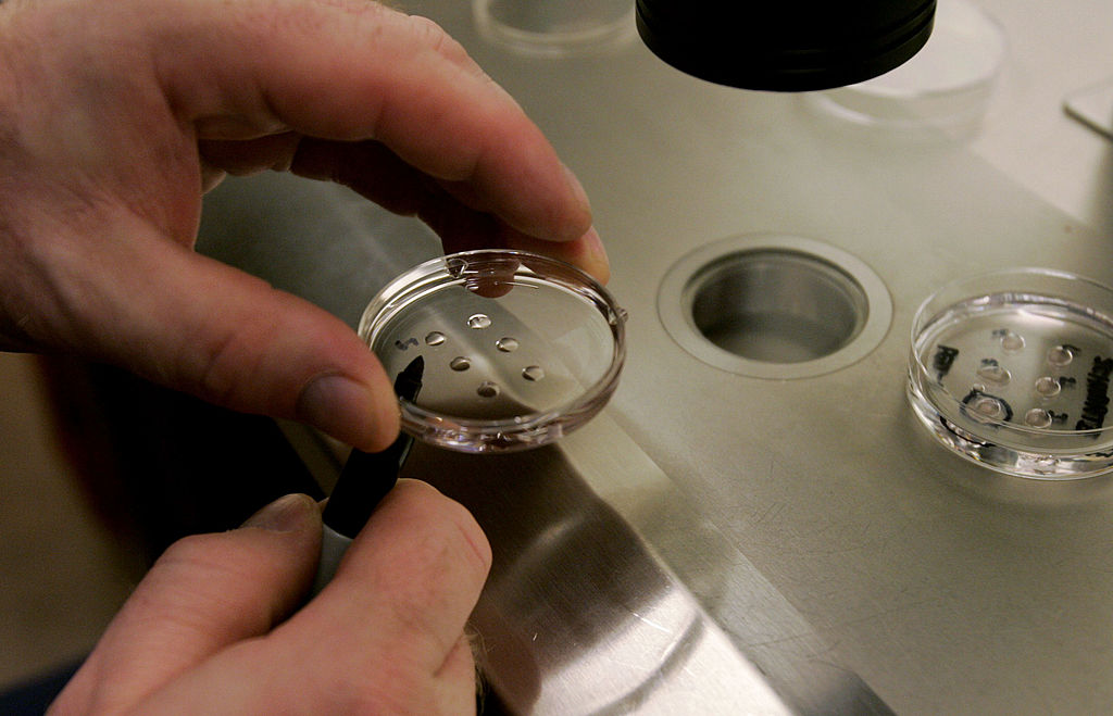Alabama Legislature gives final approval to in vitro fertilization bill Alabama Legislature gives final approval to in vitro fertilization bill