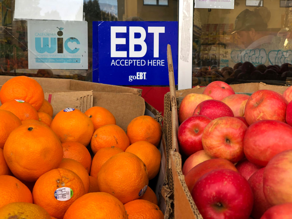 SC residents to get partial payment to replace food spoiled during Helene SC residents to get partial payment to replace food spoiled during Helene