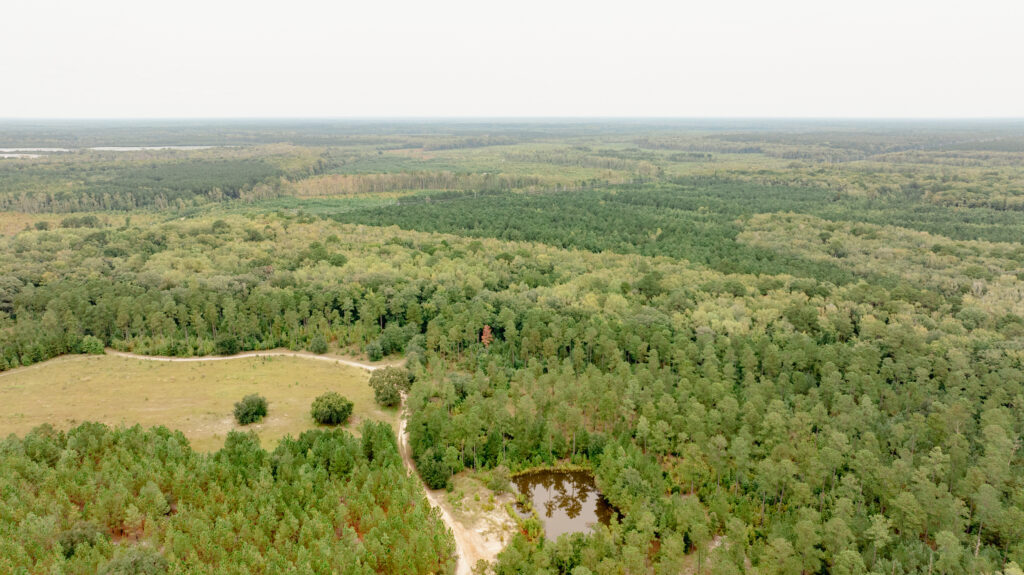 Newest SC preserve opens, protecting 10,570 acres so far Newest SC preserve opens, protecting 10,570 acres so far