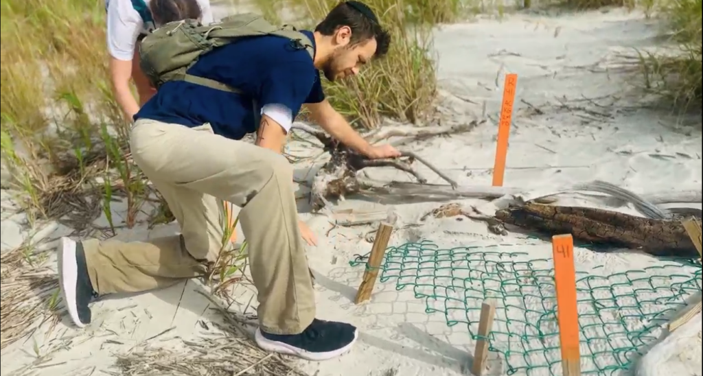 Enrollment rises, internships expand 1 year after relaunch of SC college’s island research site Enrollment rises, internships expand 1 year after relaunch of SC college’s island research site
