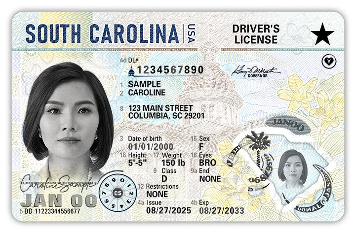 SC DMV unveils new driver’s license design featuring the state flower, bird and reptile SC DMV unveils new driver’s license design featuring the state flower, bird and reptile