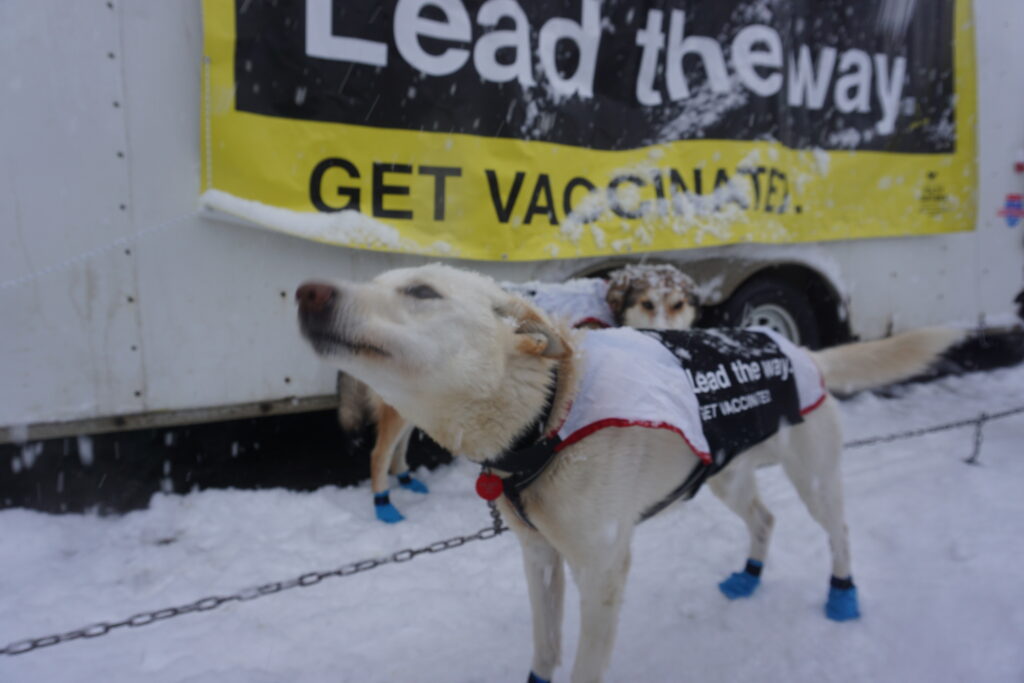 Alaskans failing to make progress toward most health improvements