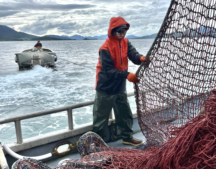 ‘Huge disaster’: Historically weak pink salmon runs strain Alaska’s seine fishermen ‘Huge disaster’: Historically weak pink salmon runs strain Alaska’s seine fishermen