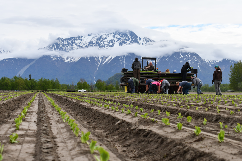 Congress must rethink reconciliation bill’s harmful impacts on Alaska’s food systems Congress must rethink reconciliation bill’s harmful impacts on Alaska’s food systems