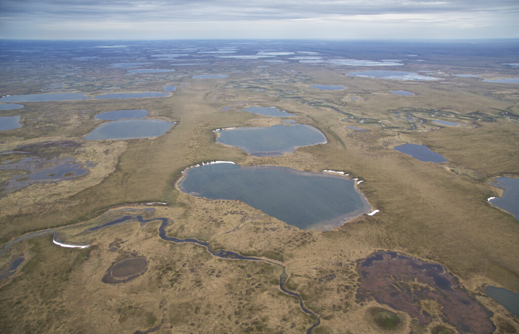 USGS report says federal lands in Alaska hold large share of undiscovered US oil, gas USGS report says federal lands in Alaska hold large share of undiscovered US oil, gas