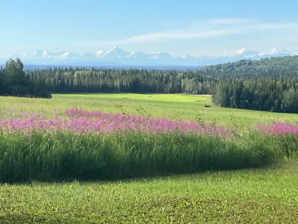 Former Fairbanks columnist reflects on years of political writing in new book ‘Impertinent Question’