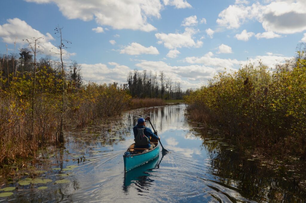 Land deal stops mining project near Okefenokee Swamp, though advocates brace for future threats Land deal stops mining project near Okefenokee Swamp, though advocates brace for future threats