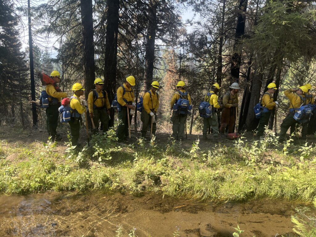 Central Idaho Dispatch Zone increases fire danger to ‘very high’ Central Idaho Dispatch Zone increases fire danger to ‘very high’