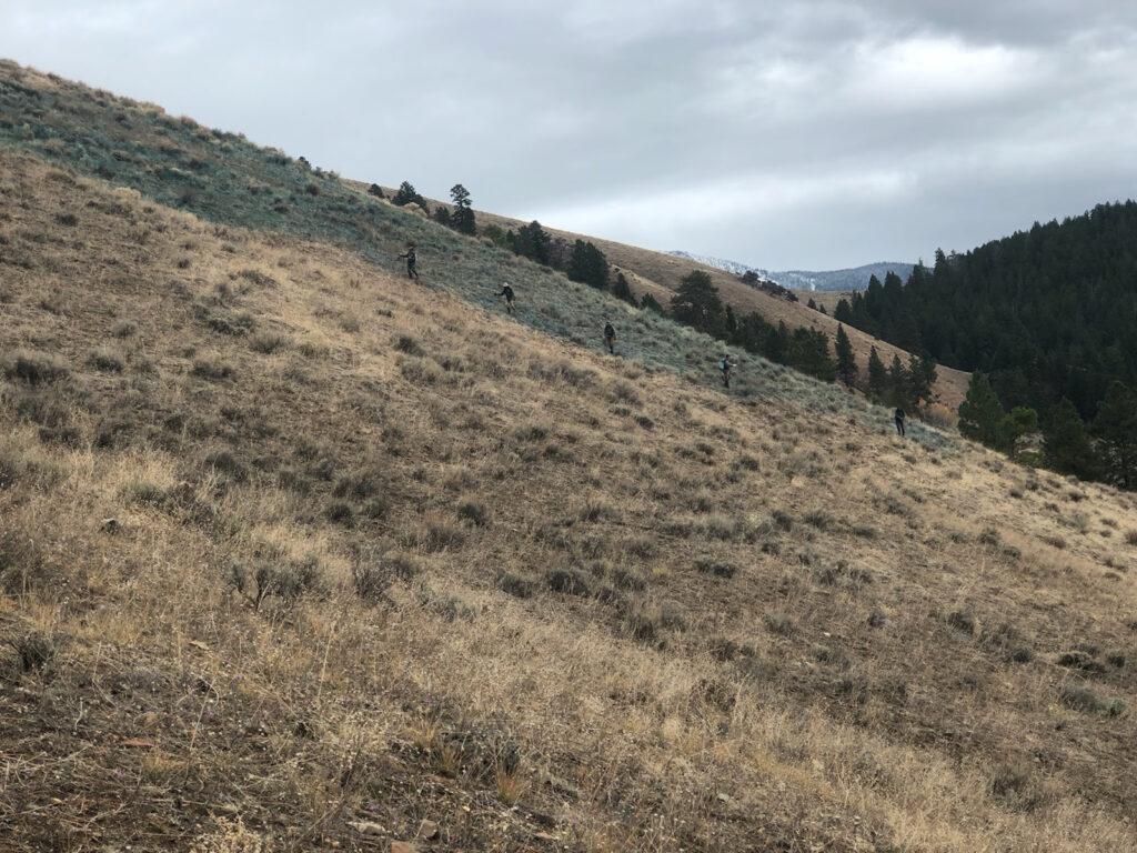 Conservation nonprofits receive $400,000 to reduce invasive grasses in Idaho Conservation nonprofits receive $400,000 to reduce invasive grasses in Idaho