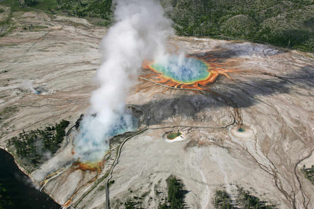 In Yellowstone National Park, even animals sometimes make mistakes In Yellowstone National Park, even animals sometimes make mistakes