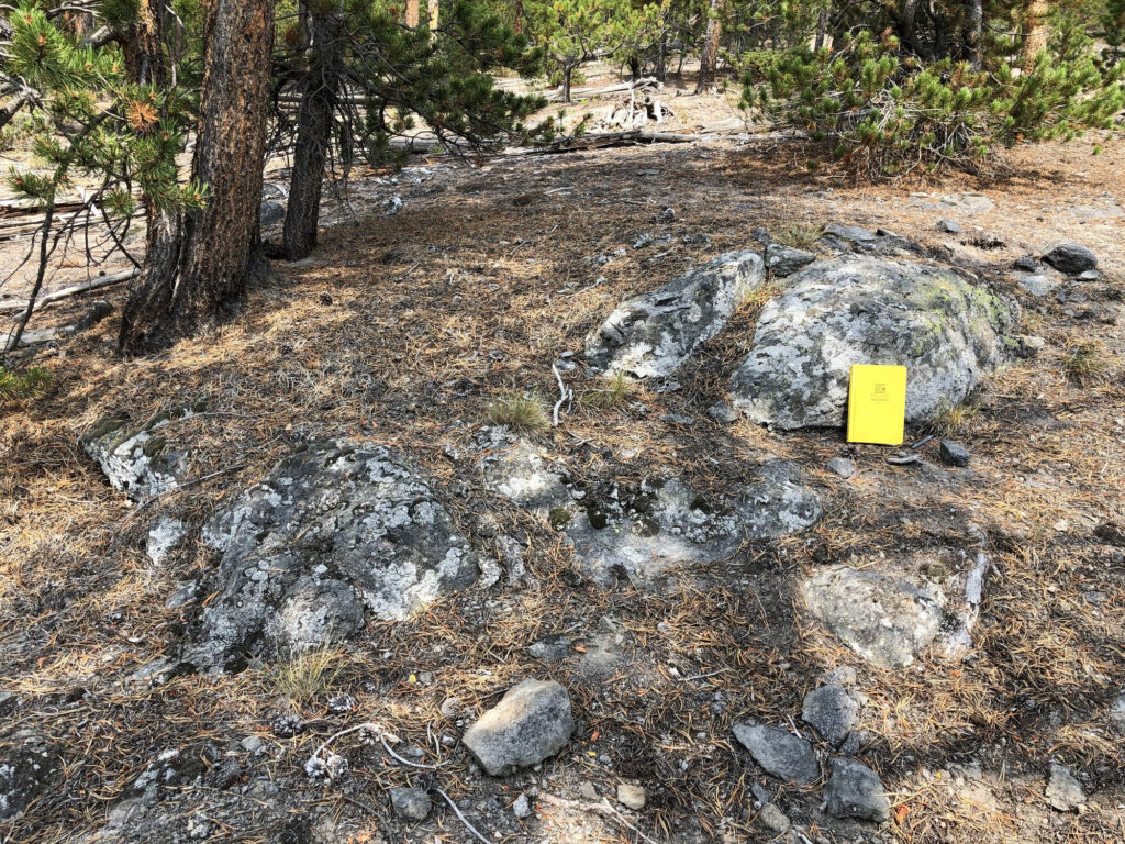 Eruption unknown: The case of Yellowstone National Park’s newly recognized geologic unit Eruption unknown: The case of Yellowstone National Park’s newly recognized geologic unit