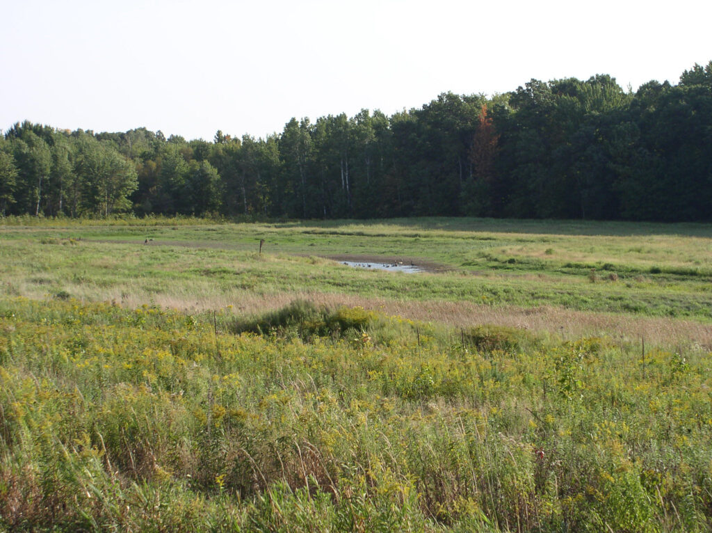 Union of Concerned Scientists urge for wetland protections in Farm Bill Union of Concerned Scientists urge for wetland protections in Farm Bill