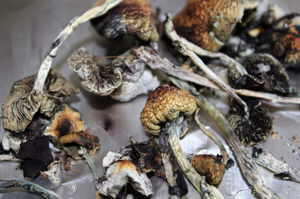 Governor’s veto of bill on synthetic psilocybin drugs takes key lawmaker by surprise Governor’s veto of bill on synthetic psilocybin drugs takes key lawmaker by surprise