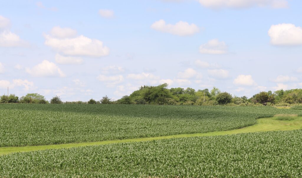 Crop and soil conditions stable despite ‘unsettled’ weather Crop and soil conditions stable despite ‘unsettled’ weather