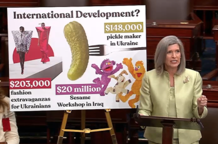 U.S. Sen. Joni Ernst speaks in support of USAID, public broadcasting cuts U.S. Sen. Joni Ernst speaks in support of USAID, public broadcasting cuts
