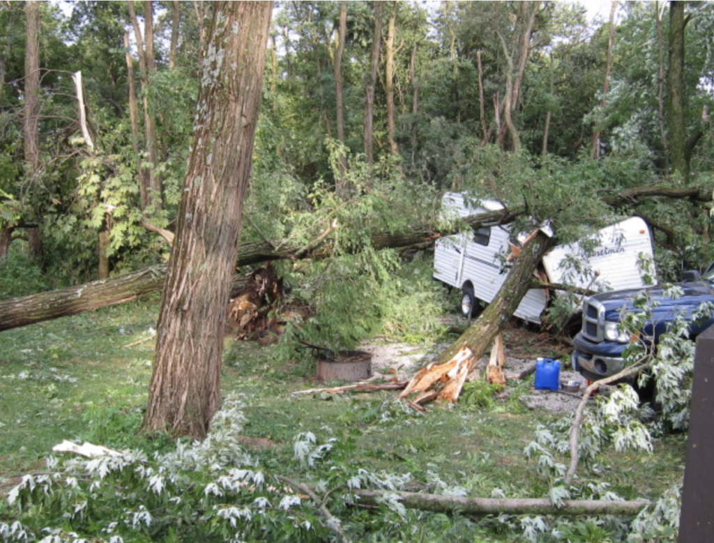 How many trees did Iowa lose from the 2020 derecho? 