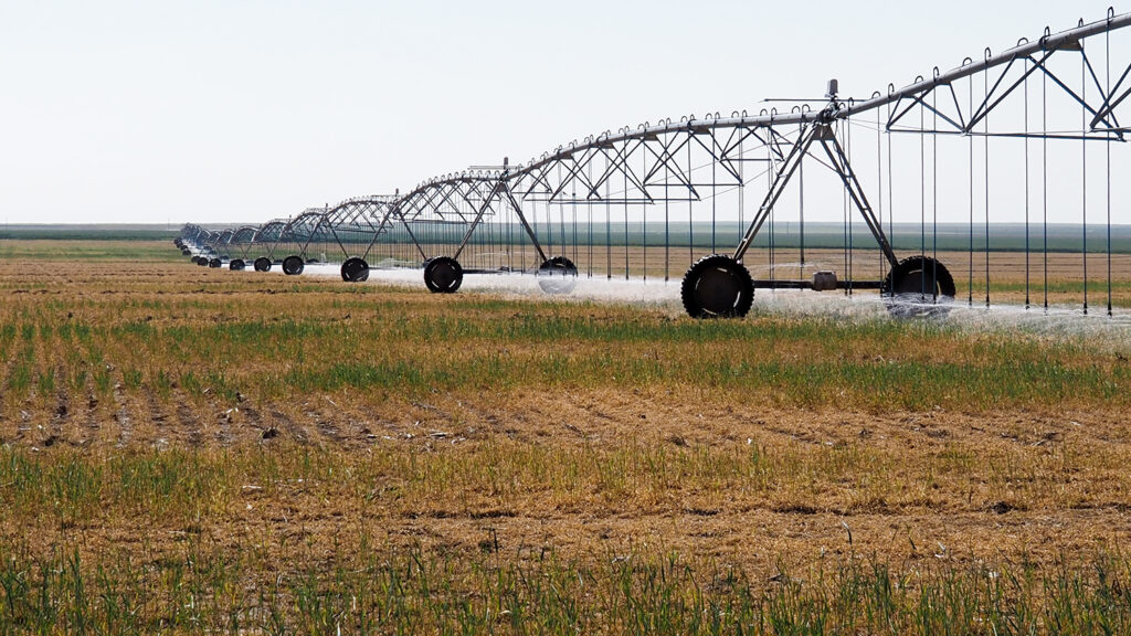 Government payments push Kansas farm income higher in 2025 amid global uncertainty Government payments push Kansas farm income higher in 2025 amid global uncertainty