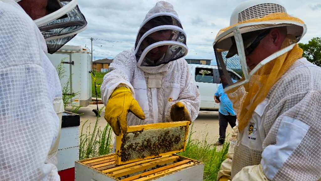 New Kansas-based American Honey Institute to advocate for industry standards