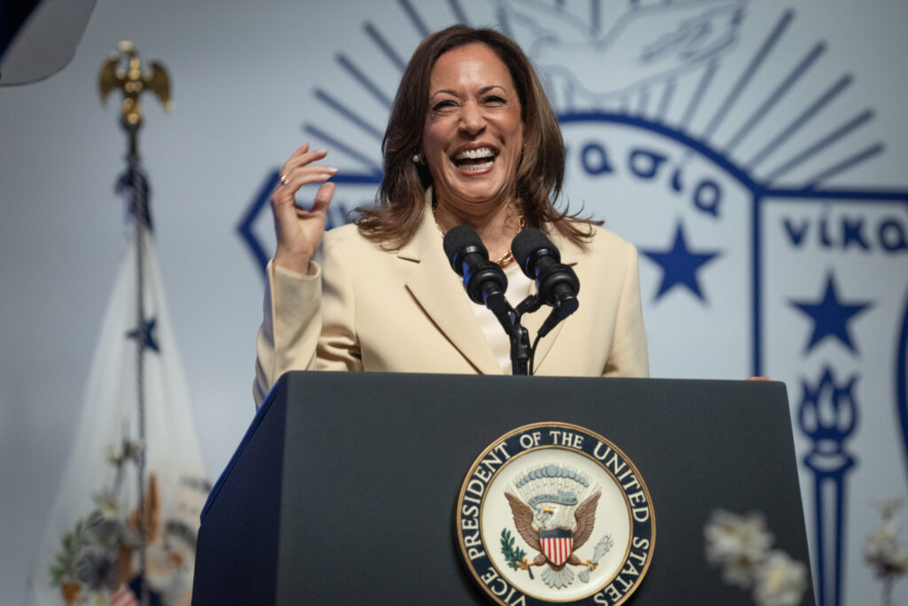 Democrats approve virtual vote by delegates to pick a presidential nominee Democrats approve virtual vote by delegates to pick a presidential nominee