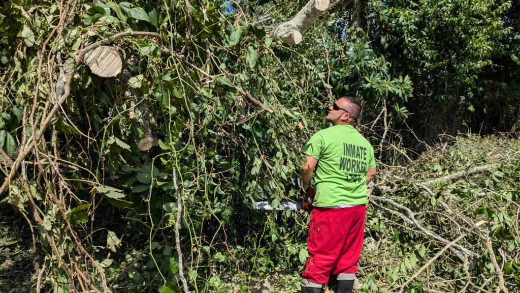 In Louisiana, incarcerated people help with hurricane recovery after Francine In Louisiana, incarcerated people help with hurricane recovery after Francine