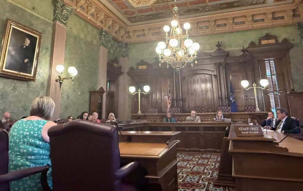 Rental application fees would be capped at $25 under legislation considered by Michigan senators Rental application fees would be capped at $25 under legislation considered by Michigan senators