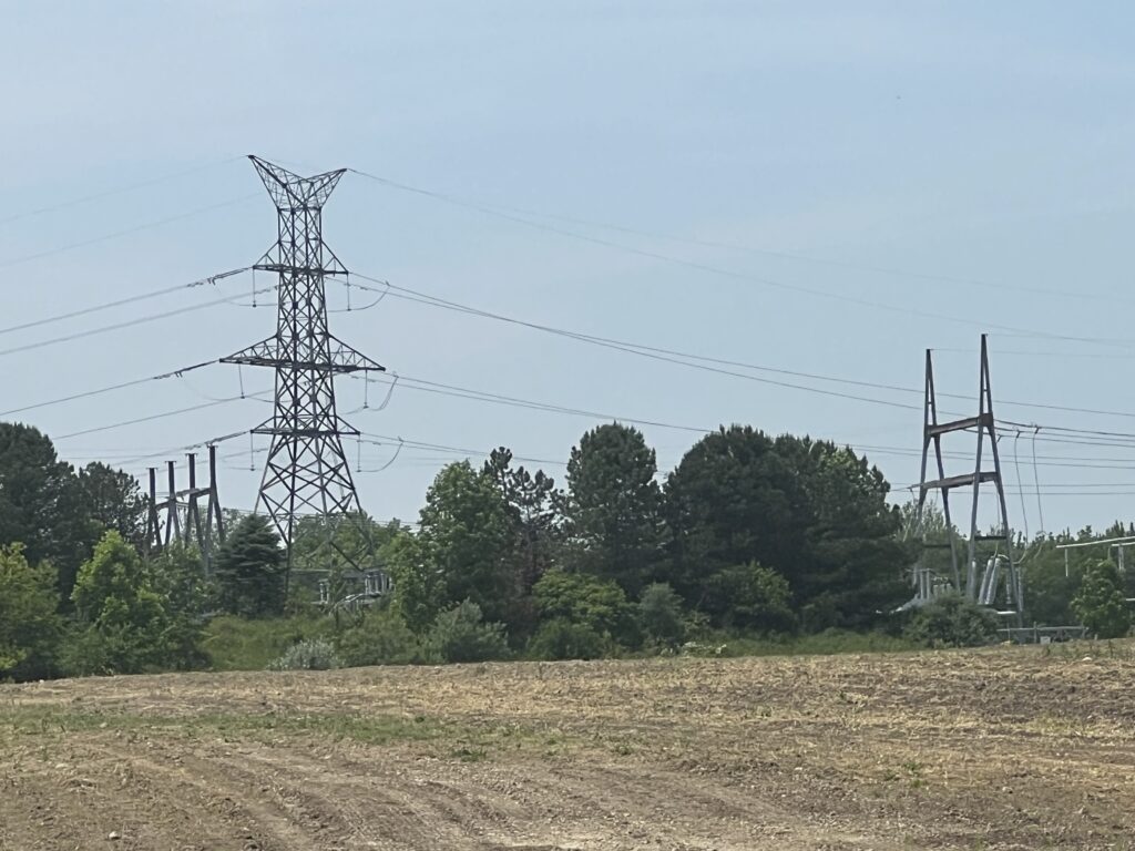 Michigan transmission line project sparks fears of land seizures via eminent domain Michigan transmission line project sparks fears of land seizures via eminent domain