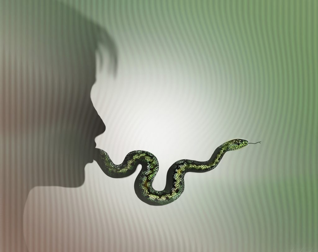 A Democratic legislator was assassinated; right-wing influencers coughed out disinformation A Democratic legislator was assassinated; right-wing influencers coughed out disinformation