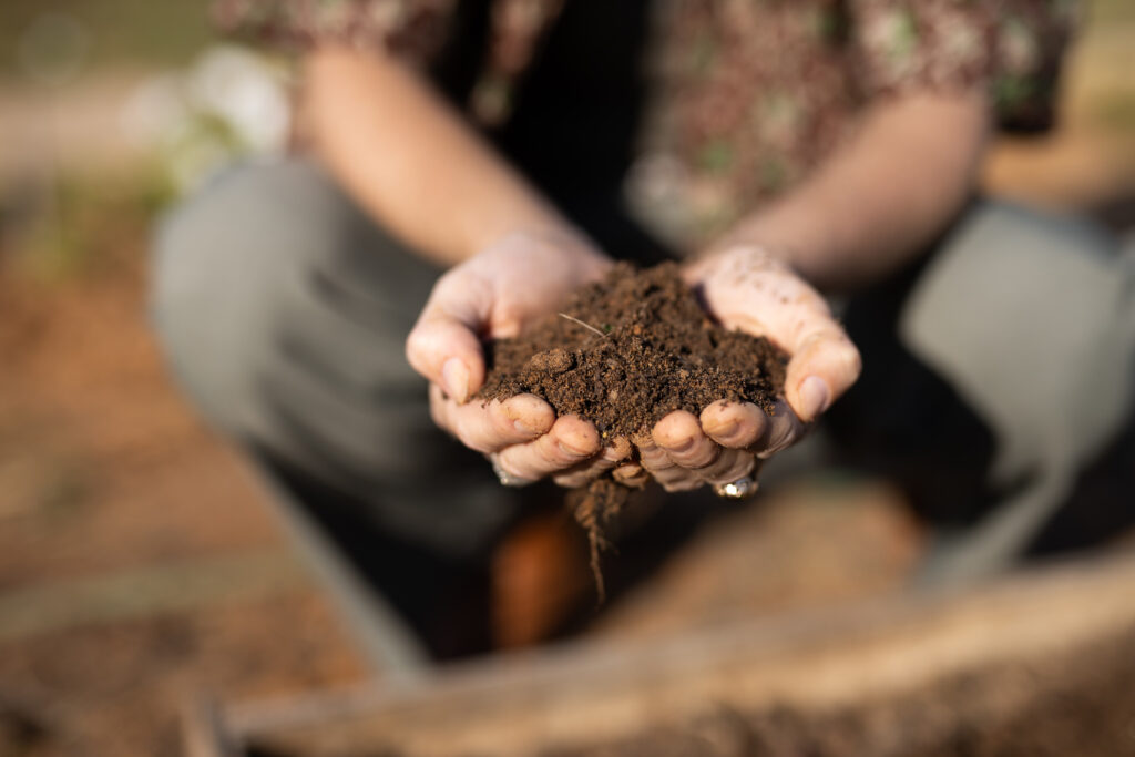 Ensuring the health of our farms and food: A Minnesota chef and farmer’s mission Ensuring the health of our farms and food: A Minnesota chef and farmer’s mission