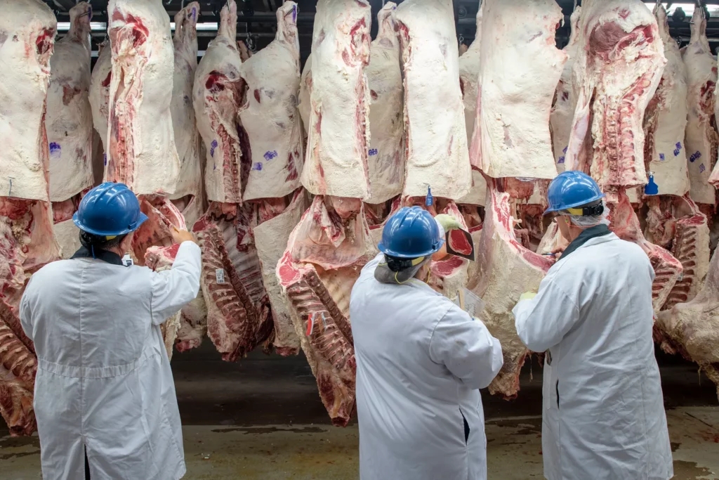 Meat industry increases political spending, lobbying as USDA updates crucial regulations Meat industry increases political spending, lobbying as USDA updates crucial regulations