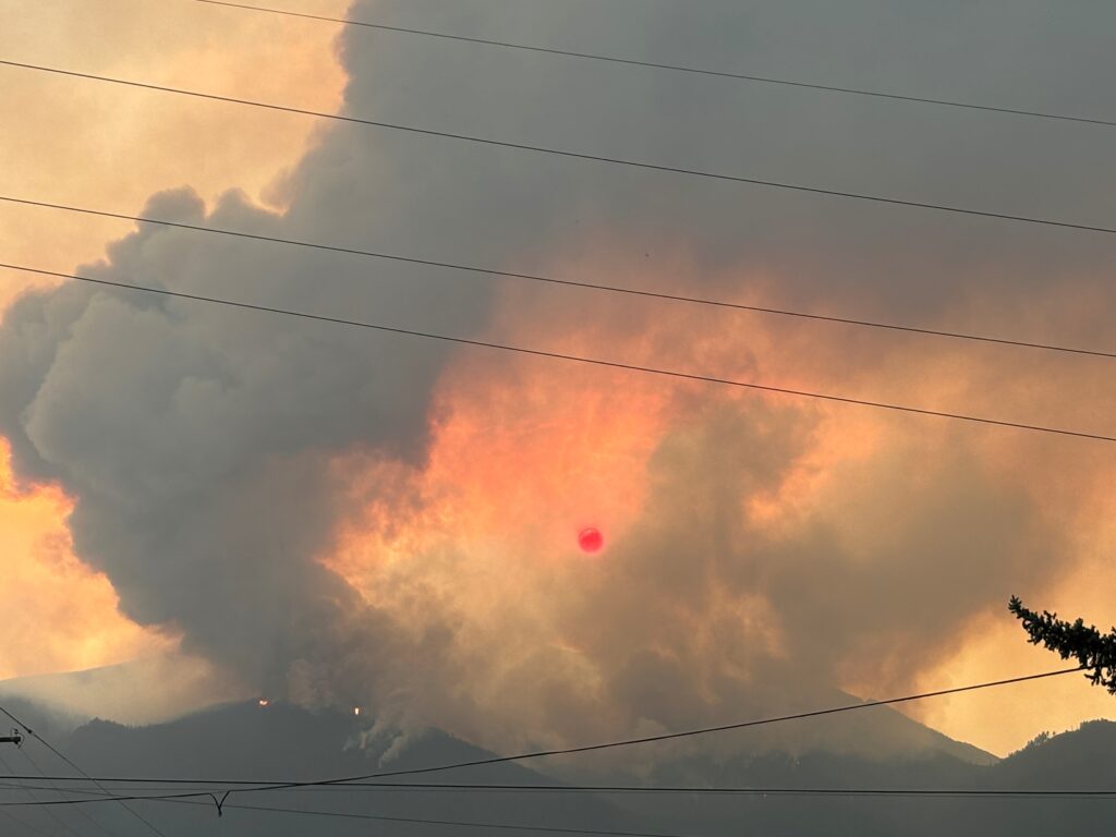 Trump looks to ‘consolidate’ federal wildland fire agencies Trump looks to ‘consolidate’ federal wildland fire agencies